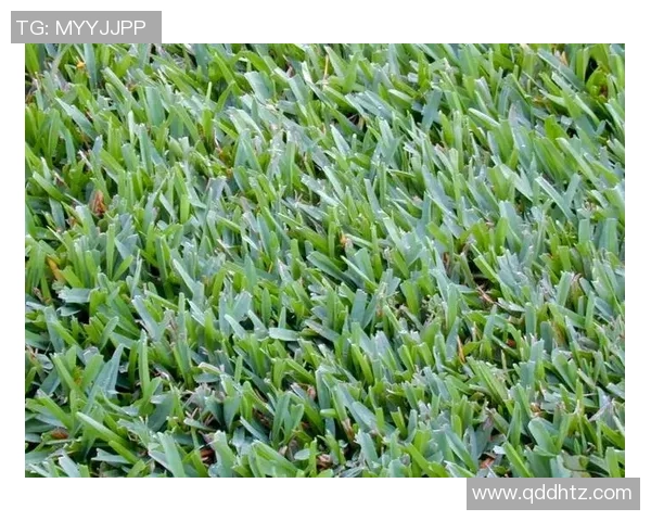 足球草地变色现象解析及其对比赛的影响探讨与应对策略 足球草地变色现象解析及其对比赛的影响探讨与应对策略