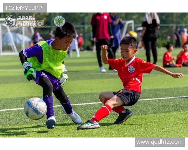 足球服的魅力与风格探讨让我们一起欣赏球场上的时尚与运动精神