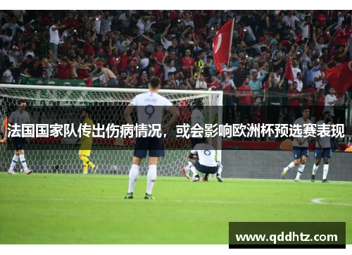 法国国家队传出伤病情况，或会影响欧洲杯预选赛表现